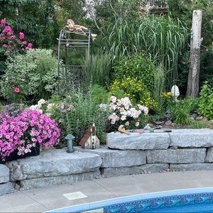 Meet your Posher, Serena